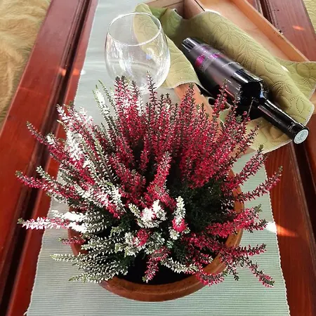 Ave Διαμέρισμα